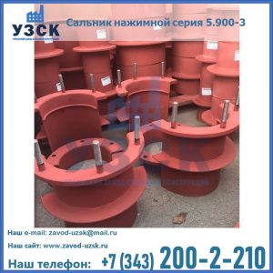 Сальники нажимные серия 5.900-3 в Орске